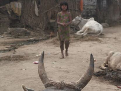 La fotógrafa retrató a esta niña entre animales moribundos en un pueblo de Nepal, debido a la sequía que asola el país.