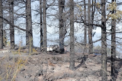 Un coche calcinado por las llamas del incendio forestal declarado en la madrugada del sábado 15 de julio en el municipio de Puntagorda, en la isla de La Palma. 
