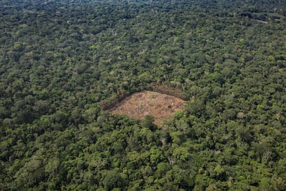 Vista aérea de un sembradío de cocaína en la selva colombiana.