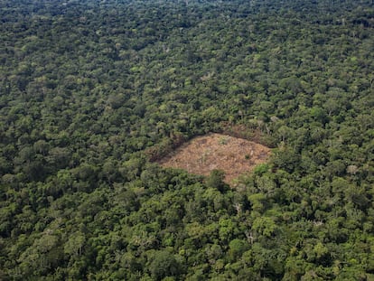 Vista aérea de un bosque colombiano.