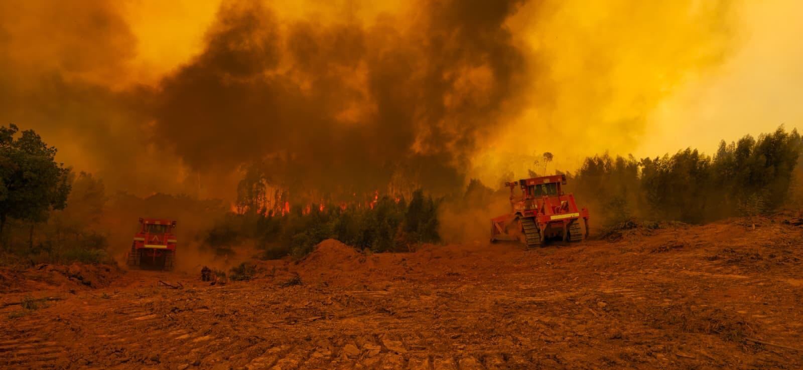 Los dos mayores incendios de Andalucía se cebaron con el mismo territorio de Huelva en solo dos décadas