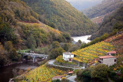 Viñedos, cañones y románico: la Ribeira Sacra desde un catamarán en la ruta de los embalses de Lugo (Galicia). Turembalses busca armonizar y ofrecer un altavoz conjunto al trabajo que vienen realizando los distintos territorios en la gestión turística de sus bolsas de agua dulce. Por ejemplo, la provincia gallega de Lugo cuenta ya con una ruta de los embalses por los cañones de los ríos Sil y Miño, planteada como una forma de explorar la Ribeira Sacra. Los pasajeros se montan en los famosos catamaranes y navegan por aguas represadas —construidas en los años cincuenta y sesenta del siglo XX, aprovechando el relieve encajado de los trazados fluviales—, que se conocen como los mares interiores de Galicia. A las riberas de los pantanos Belesar y Os Peares en el Miño, San Pedro y Santo Estevo en el Sil, asoman el románico, los viñedos ordenados en terrazas, los cortados rocosos y la vegetación exuberante. La Diputación de Lugo ha habilitado una página web para ofrecer información sobre las rutas y comprar los billetes.