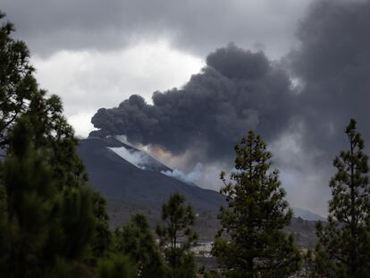 Erupción del volcán de La Palma, desde un pinar de la localidad de El Paso el 17 de noviembre.