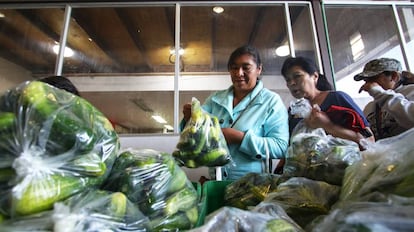 Clientas del Banco de Alimentos de Pachuca.