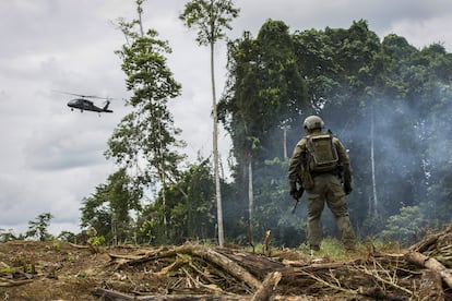 Elementos de la Policía de Colombia en un campio de coca en Narino.