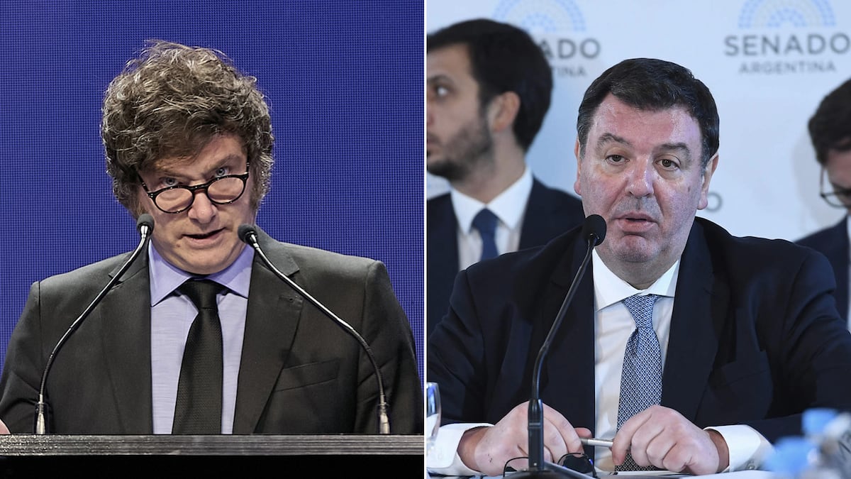 Javier Milei y el Congreso argentino se llevan pésimo, pero a veces ...