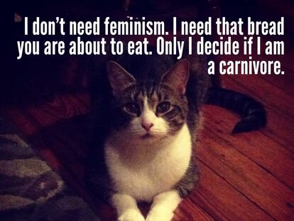 Mujeres (y gatos) contra el feminismo