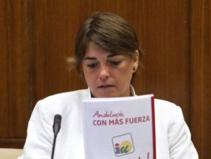 Elena Cortés, consejera de Fomento.