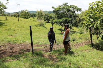 Linderos en una zona rural del departamento de Córdoba, en Colombia.