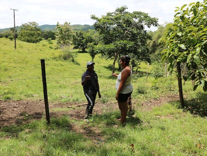 Linderos en una zona rural del departamento de Córdoba, en Colombia.