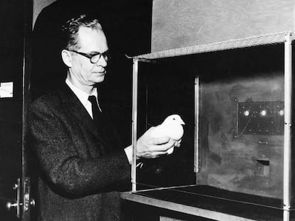 El investigador B. F. Skinner, en una imagen sin datar.