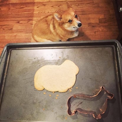 ¿ME ESTÁS LLAMANDO GORDO? Nuevo intento frustrado de crear galleta con forma, esta vez de perrete. La pobre mascota mira al autor preguntándose a qué viene este 'fat-shaming'.