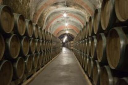 Interior de una bodega