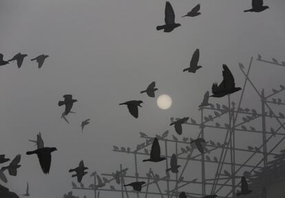 Palomas vuelan alrededor de la cúpula de Boudhanath Stupa en Katmandu (Nepal).