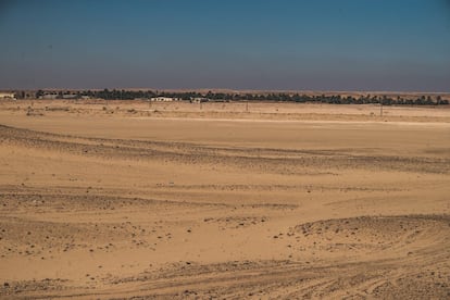 La granja de peces en los campamentos de refugiados saharauis en Tinduf (Argelia) se empieza a vislumbrar en la línea recta del horizonte, a menos de una hora en coche desde el asentamiento de Bojador. Nada más que arena a la izquierda, mismo paisaje a la derecha. No hay camino, ni más referencia que el esqueleto de algún vehículo abandonado. Y de repente: un oasis. El conjunto verde de palmeras indica dónde se encuentra el sitio de N’khaila, un centro agrícola donde se cultiva, se crían gallinas y que ahora alberga una gran piscifactoría que está siempre abierta.