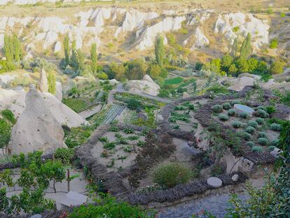 Viñas y huertas en la localidad de Üçhisar, en la Capadocia, donde los bodegueros planean rutas enológicas.