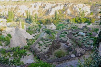 Viñas y huertas en la localidad de Üçhisar, en la Capadocia, donde los bodegueros planean rutas enológicas.
