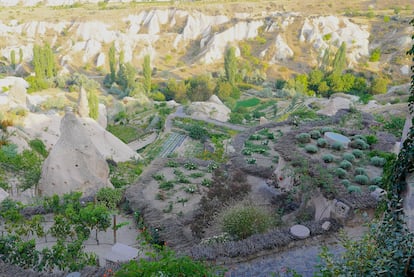 Viñas y huertas en la localidad de Üçhisar, en la Capadocia, donde los bodegueros planean rutas enológicas.