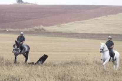 Integrantes de un escuadrón de caballería de la Guardia Civil, que forma parte de los equipos de agentes "ROCA" creados para llevar a cabo labores de vigilancia en las explotaciones agrarias y ganaderas de la provincia de Ciudad Real. EFE/Archivo