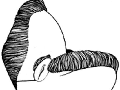 Caricatura de Joaquín 'Kim' Faura