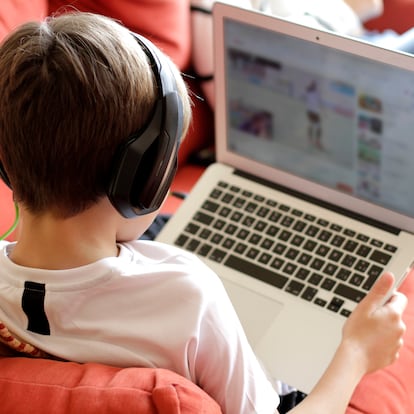 Boy Playing Video Game On Computer