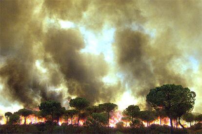 El incendio originado hoy alrededor de las 14.00 en el paraje <i>La Milanilla</i>, en la localidad onubense de Moguer.