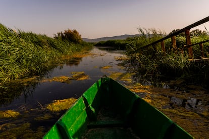 Una de las barcas que se continúan utilizando por el personal del parque nacional en una trocha.