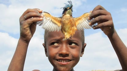 Ni&ntilde;o juega con un pajarito en Awassa, Etiop&iacute;a.