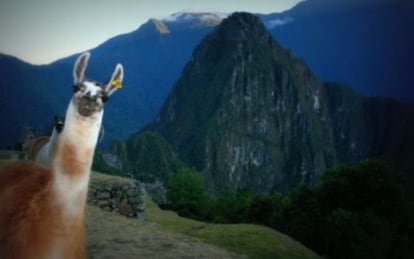 ¡Bienvenidos a Machu Picchu!