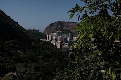 Vista de la ciudad de Río de Janeiro desde el mirador de Urubu, una de las atracciones del Parque de la Catacumba.