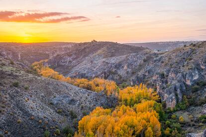 Colores otoñales en el cañón de la Pelegrina, cerca de la localidad de Sigüenza.