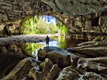 Una de los túneles de roca que forma el río Oparara en el parque nacional de Kahurangi, en Nueva Zelanda.