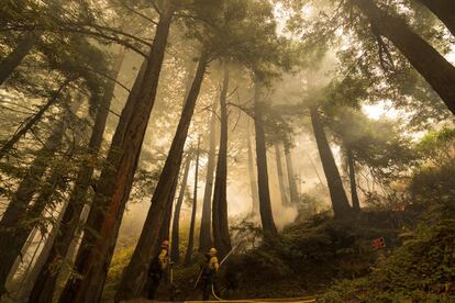 Varios bomberos trabajan en las labores de extinción del incendio Dolan en Big Sur (California), el viernes.