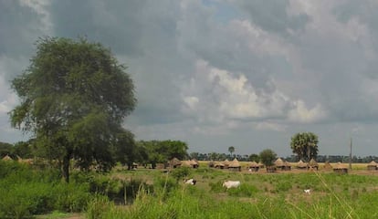 Aldea en Karutui, Gambella, Etiopía, donde la mayoría de la tierra ha sido cedida a grandes compañías agroindustriales y graves violaciones de derechos humanos se han producido / Felix Horne, The Oakland Institute.