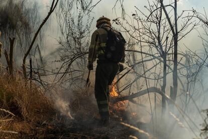 Un bombero trabaja en la extinción del incendio forestal en Cualedro. Según las últimas estimaciones, la superficie afectada es de 720 hectáreas, de ellas 450 forestales (400 rasas y 50 arboladas), y las restantes 270 hectáreas son agrícolas.
