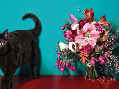 Elisabeth Blumen recrea para EL PAÍS SEMANAL las flores que mejor representan estas cinco relaciones explosivas. Pincha para verlas.