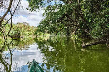 Vista sobre la canoa con la que se puede navegar el lago Duluti, en la regin de Arusha. 