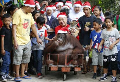 El fundador del 'Malabon Zoo Manny Tangco', en el centro, posa con un cachorro de tigre llamado 'Lenlen', y un orangután llamado 'Pacquiao' durante una fiesta de Navidad en Malabón (Filipinas).

