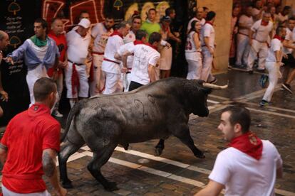 Toros de la ganadería de José Escolar Gil durante su recorrido por las calles de Pamplona.