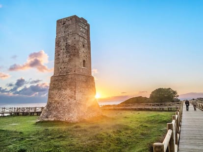 Torre de los ladrones en el monumento natural de las Dunas de Artola (Marbella).