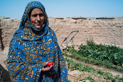 Salelkha Ahmad sujeta un tomate que ha nacido en su peque&ntilde;o huerto de 10x10 metros.