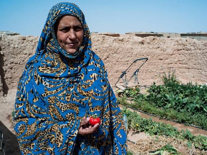 Salelkha Ahmad sujeta un tomate que ha nacido en su peque&ntilde;o huerto de 10x10 metros.