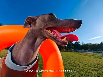 Foto hecha con el OPPO Find X10 Pro Max