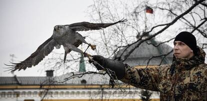 La azor Alpha y el cetrero Alexei Vlásov en los jardines del Kremlin.