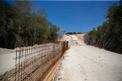 Está previsto que este muro fronterizo cubra 160 de los 380 kilómetros de frontera entre ambos países que comparten la isla La Española. En la imagen, construcción de la verja fronteriza en una zona de manglares en Pepillo Salcedo. 