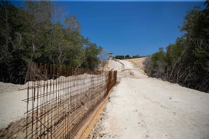 Está previsto que este muro fronterizo cubra 160 de los 380 kilómetros de frontera entre ambos países que comparten la isla La Española. En la imagen, construcción de la verja fronteriza en una zona de manglares en Pepillo Salcedo.