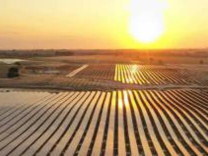 La maldición del Ibex: Solaria cae un 17% en su primer año en el índice