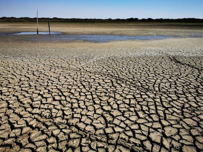 La laguna de Santa Olalla, en Doñana, este septiembre.