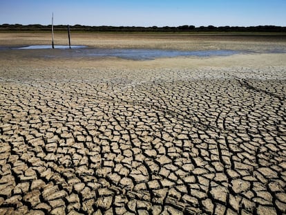 La laguna de Santa Olalla, en Doñana, este septiembre.