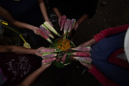 El taller de la colectiva Mujeres de la Tierra producen a través de sistemas de cultivo tradicionales.